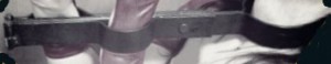 Fiddle